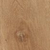 Lyme Oak CSPC709