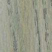 Dove Grey