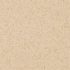 Altro Reliance 25 Arena D2510