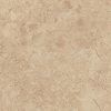 Amtico Spacia Stone Bottocino Cream SS5S4599