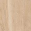 Amtico Spacia Wood Eden Oak SS5W1010