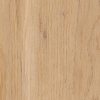 Amtico Spacia Wood Canopy Oak SS5W1020