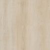 Amtico Spacia Wood Pale Maple SS5W2501