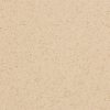 Altro XpressLay Arena XL2219P