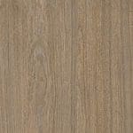 Altro Wood Adhesive-Free Bur Oak AFW280015