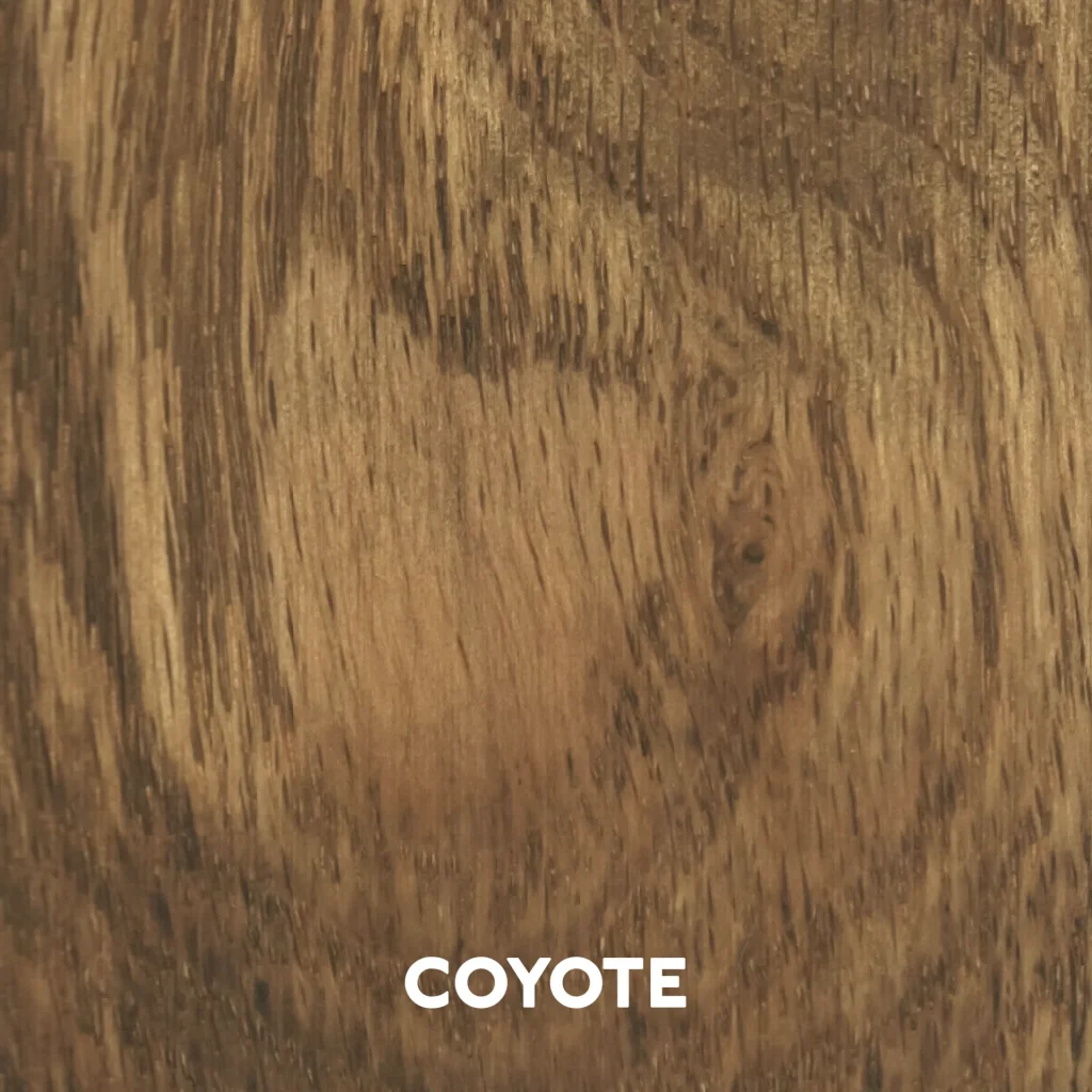 Coyote