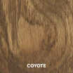 Coyote