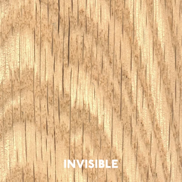 Invisible