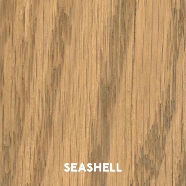 Seashell