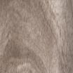 Dittam Grey N3352