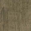 FC46 Olive