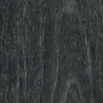 FC68 Moor Acacia